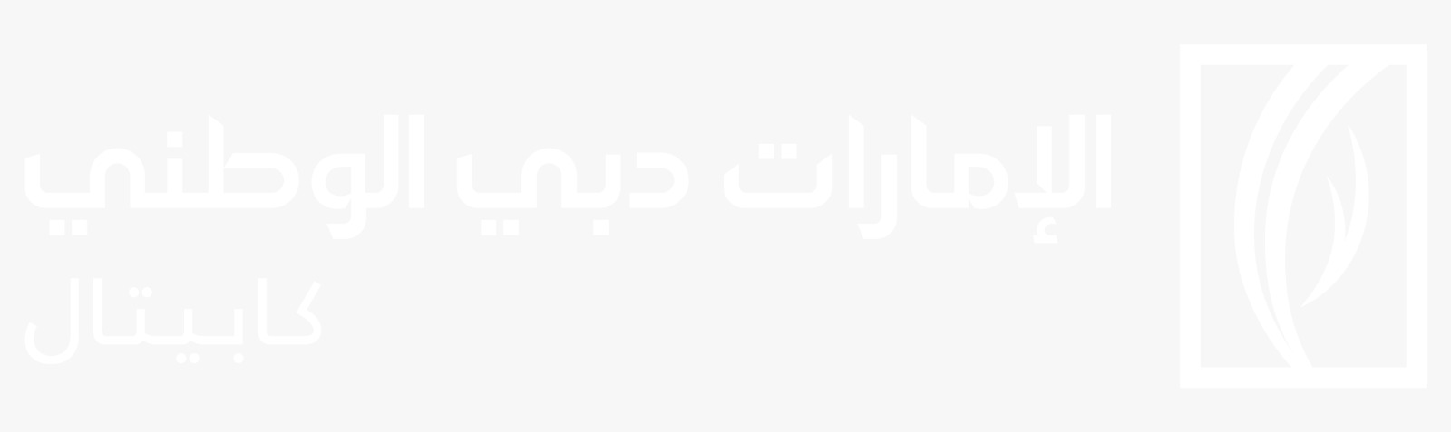Emirates NBD Capital logo